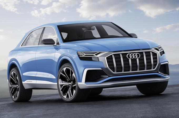 Audi bo imel letos veliko novih modelov, med njimi tudi novega Q8. | Foto: Audi