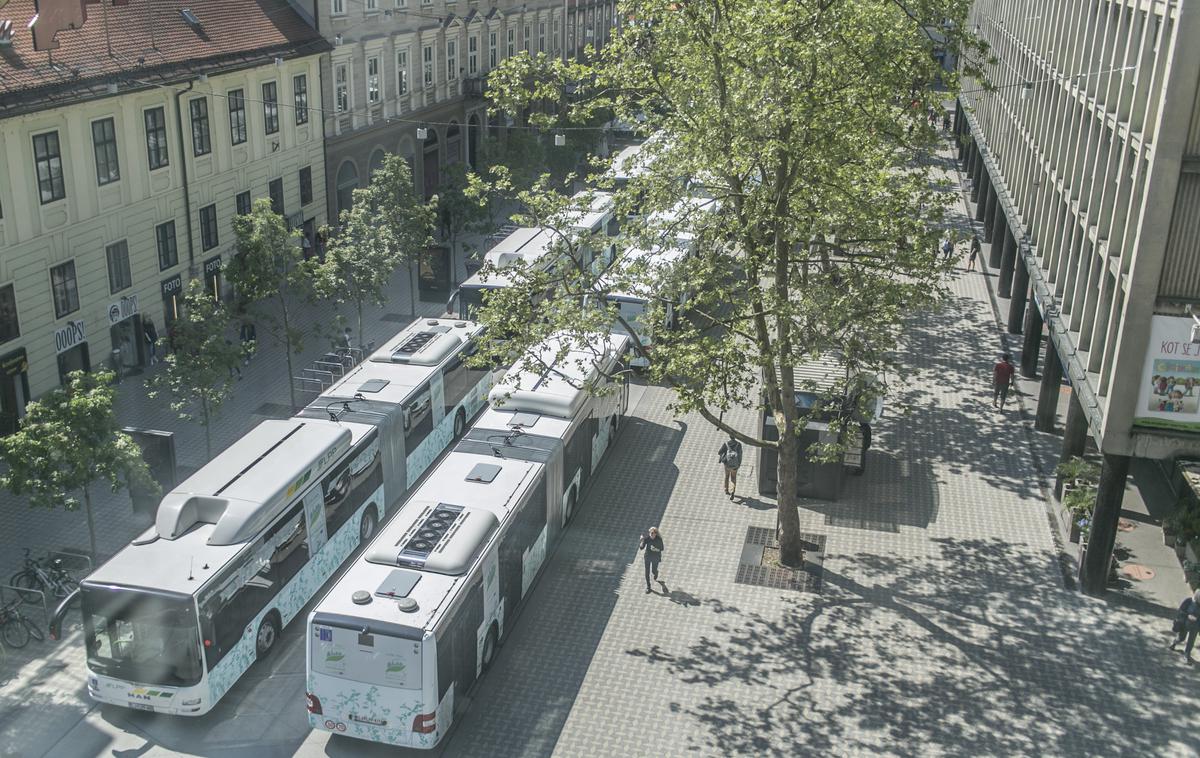 mestni avtobus | Foto Bojan Puhek