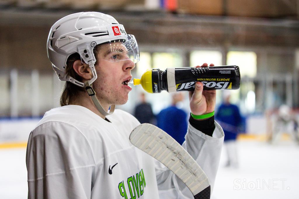 slovenska hokejska reprezentanca