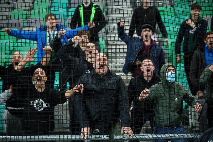 Navijači Olimpije si želijo, da bi njihovi ljubljenci v torek osvojili pokalno lovoriko v Kopru. | Foto: Vid Ponikvar