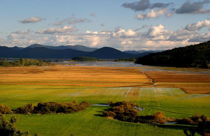 Cerkniško jezero
 | Foto: 