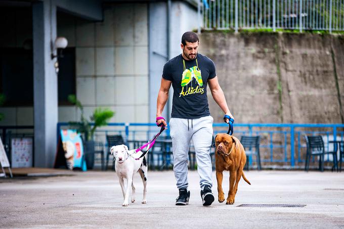 Jaša Kadivec s štirinožnima prijateljema Borisom (na desni) in Dahlijo. Boris je mešanec med bordijsko dogo in ridgebackom, Dahlija pa mešanka med catahoulo in bulterierjem. Boris je brez zadnje desne tace, Dahlija pa je zaradi gena 'double merle' gluha in nima stoodstotnega vida. Z nekdanjim dekletom sta psa posvojila v zavetišču v Avstraliji.  | Foto: Peter Podobnik/Sportida