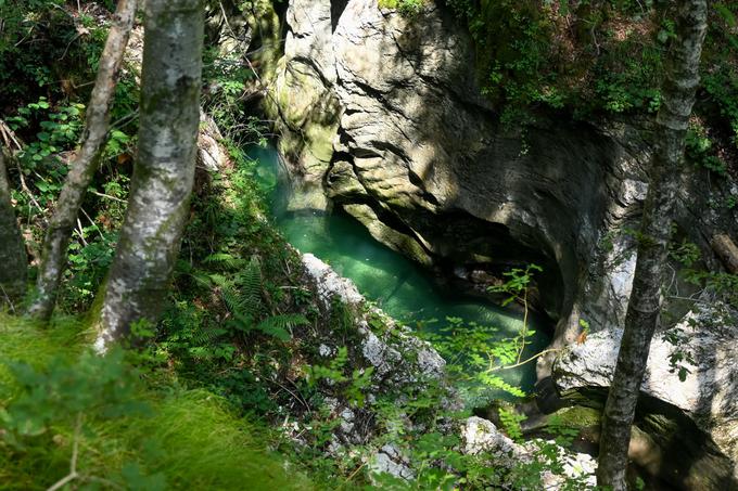 Korita Mostnice, naravni bister za zaključek ture. Najdete slončka v koritih? | Foto: Matej Podgoršek