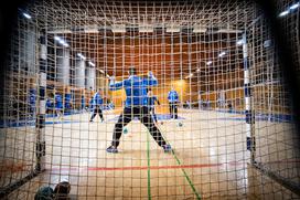 slovenska rokometna reprezentanca trening