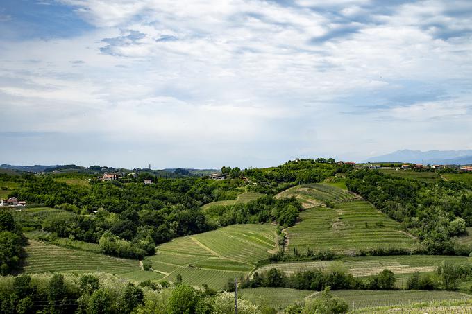 Če bi kolesarji imeli čas, bi lahko uživali v izjemni naravni kulisi, ki jo ponujajo Brda. | Foto: Ana Kovač