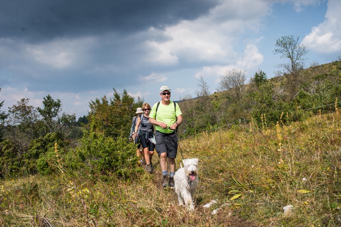 Ameriški veleposlanik je za Slovensko planinsko pot izvedel v Slovenskem planinskem muzeju v Mojstrani. Spoznaval jo je tudi s pomočjo angleškega vodnika z naslovom Treking v Sloveniji, ki sta ga napisala angleška popotnika Justi Carey in Roy Clark, ki že nekaj let živita v Mojstrani. | Foto: Klemen Korenjak