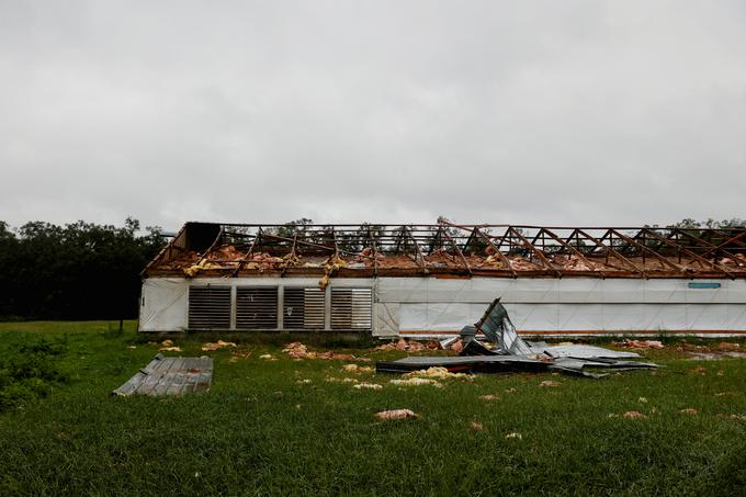 Mayo, Florida. | Foto: Reuters