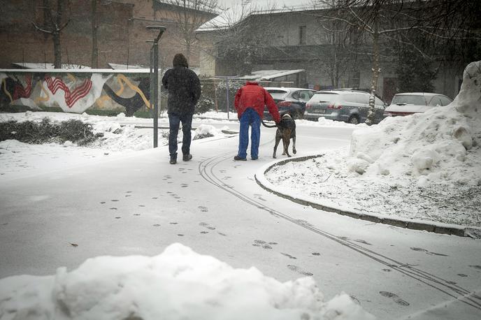 sneg v Ljubljani | Foto Ana Kovač