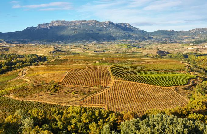 Pogled na Riojo, posuto z vinogradi | Foto: 