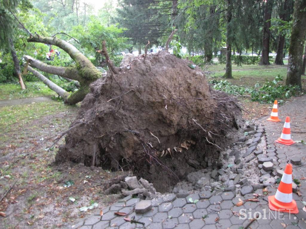 Posledice neurja na Dolenjskem