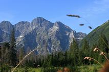 Morskie Oko Visoke Tatre Poljska