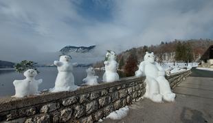 Nova atrakcija ob robu Bohinjskega jezera #foto