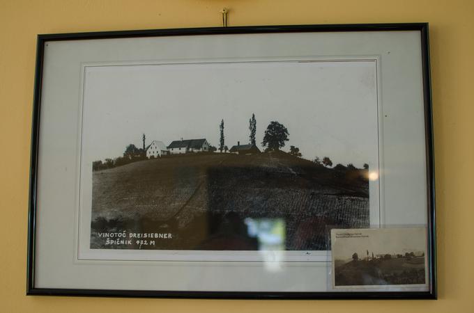 Fotografija iz leta 1935, ko je bil pri Dreisiebnerjevih vinotoč. | Foto: Matjaž Vertuš