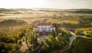 Kulinarični meseci špargljev in češenj vabijo v Brda in Miren Kras