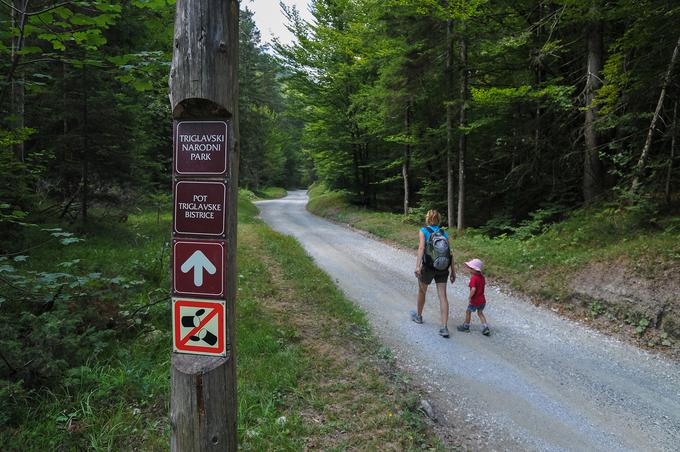 Cesta, ki vodi do Vrat, je večinoma makadamska. V prihodnjih letih jo bodo preplastili.  | Foto: Aleš Zdešar (Slovenija.info)