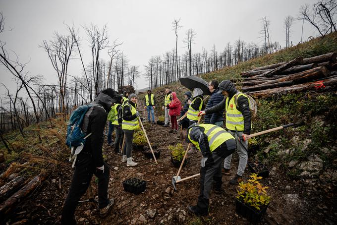 V akciji je sodelovalo 18 prostovoljcev – zaposlenih iz restavracij in uprave podjetja Alpe-Panon d.o.o., nosilca franšize McDonald's v Sloveniji. | Foto: arhiv naročnika