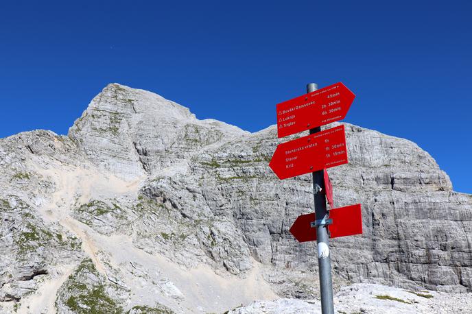 Stenar Kriški podi | Stenar leži 2.501 meter nad morjem.  | Foto Matej Podgoršek