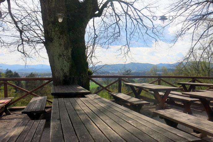 Ocena gostilne: Rožnik | Gostilna bo do konca meseca junija po njihovih napovedih še odprta, tudi dogodek ob podelitvi nagrade Kresnik bo izpeljan. | Foto Miha First