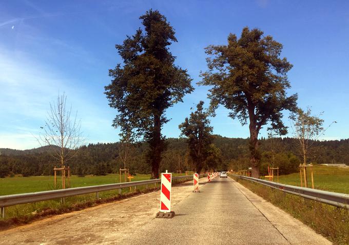 Začela se je sanacija dobrih 1,7 kilometra dolgega odseka, po katerem je promet več kot 60 let potekal po betonskih ploščah. | Foto: 