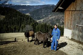 Turistična kmetija Kladje Andreja Henrik Podlesnik Ljubno