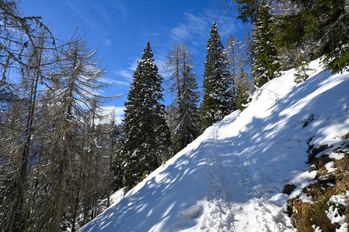 Zadnje pol ure po pešpoti z razgledi | Foto: Matej Podgoršek