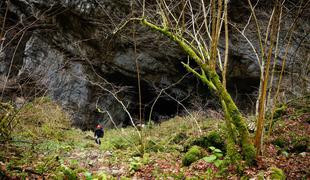 V Uršnji luknji odkrili kosti jamskih živali in sledi neandertalca