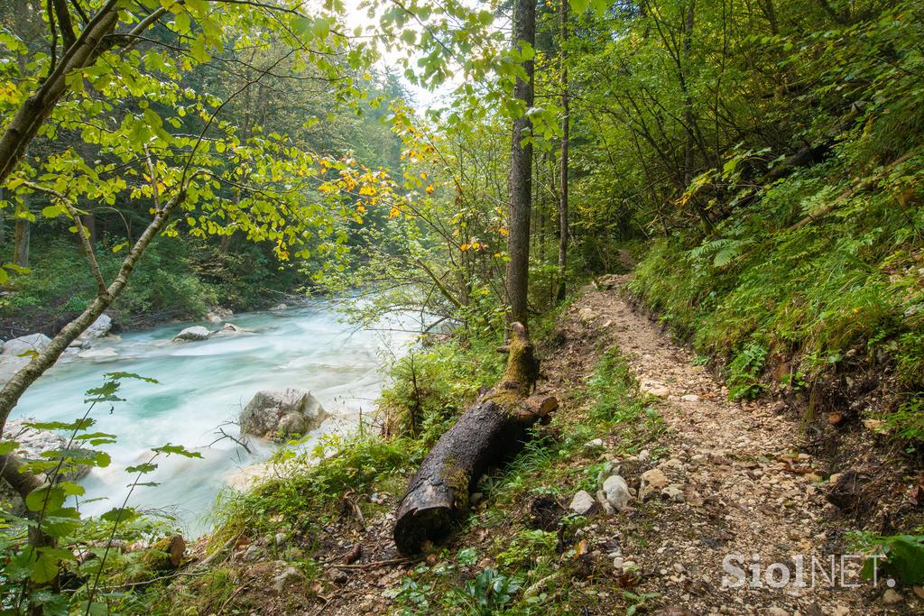 Koželjeva pot