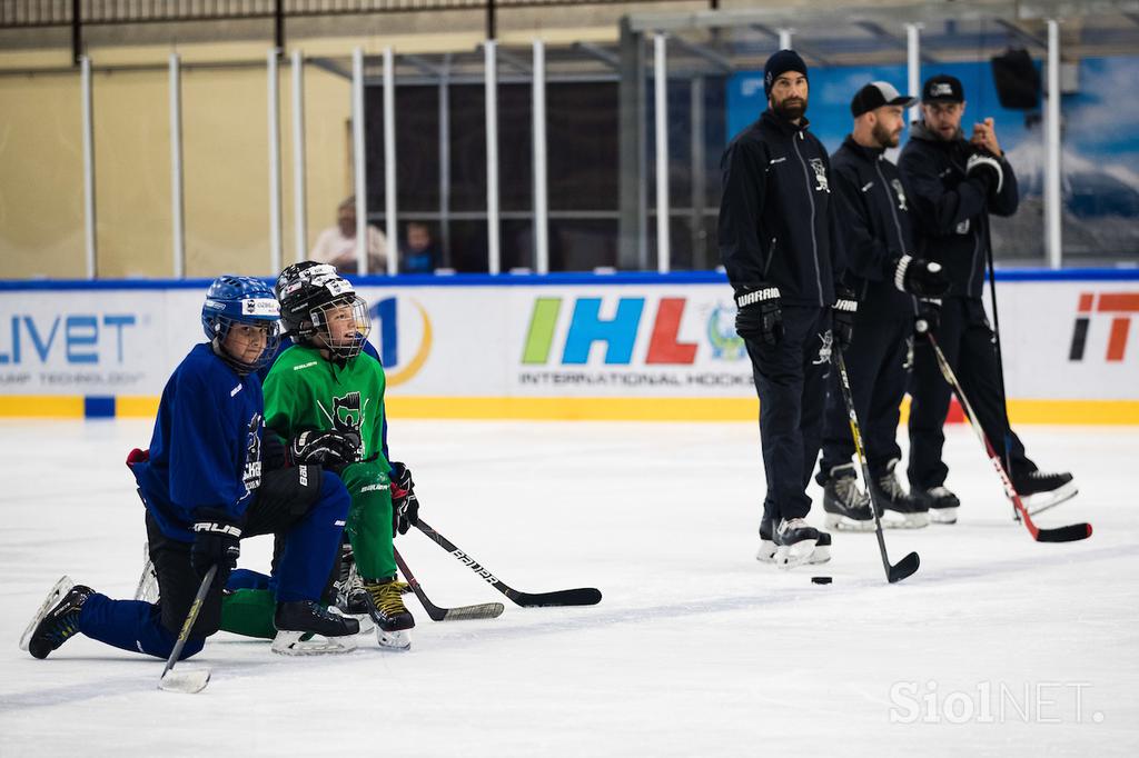 hokejska akademija Anže Kopitar Tomaž Razingar