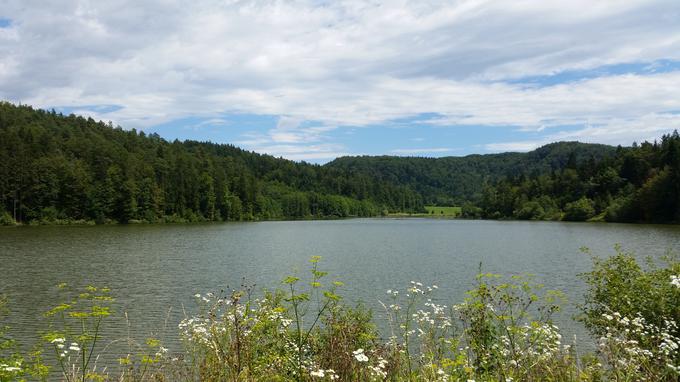 Gradiško jezero je svoje ime prevzelo po naselju Gradišče pri Lukovici, ki je severozahodno od jezera, izbrali pa so ga učenci osnovne šole na Brdu pri Lukovici v okviru tekmovanja Turizmu pomaga lastna glava. | Foto: Srdjan Cvjetović