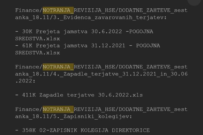 HSE hekerji | Rezultat iskanja po dokumentih HSE s ključno besedo "notranja". | Foto Siol.net