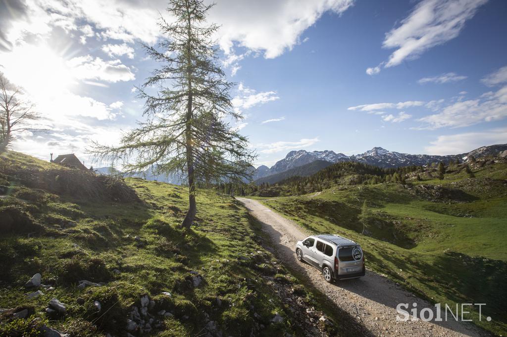 Rifter, Velika planina