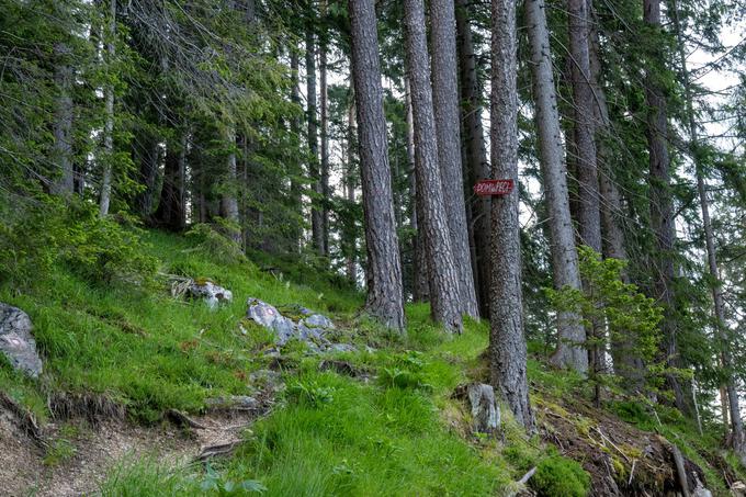 Obnovili bodo tudi pot iz Tople na Peco. | Foto: Matej Podgoršek