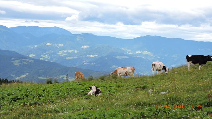 odkrivaj slovenijo vaše reportaže | Foto: 