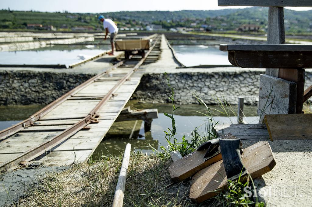 Sečoveljske soline