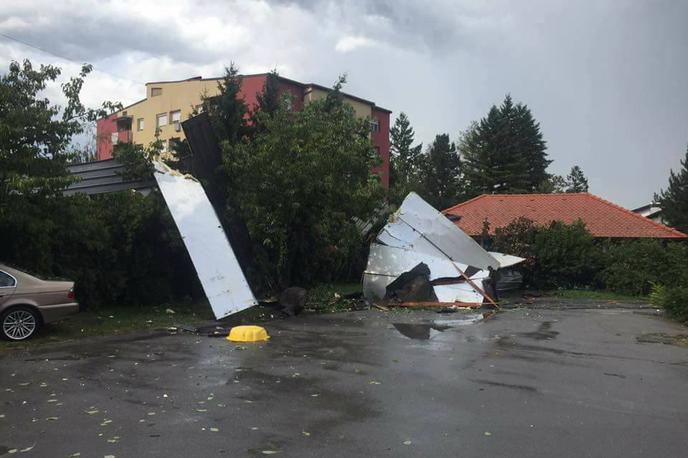 vreme, neurje, ptuj, drevesa | Foto Alen Iljevec