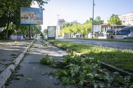 Posledice nočnega neurja v Ljubljani.