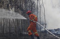 Sever Sardinije zajeli gozdni požari