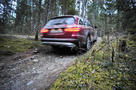 Mercedes-Benz E All-Terrain - gozd