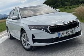 Škoda octavia: Ni SUV, a lani najbolje prodajani avtomobil med Slovenci #foto