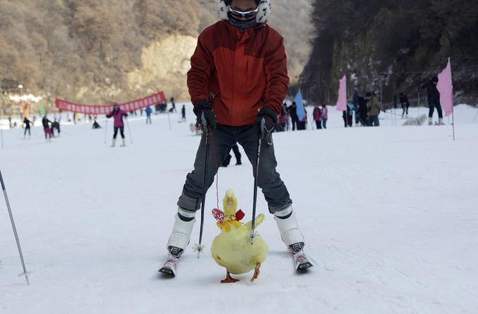 Sanmenxia, provinca Henan, Kitajska   | Foto: Reuters