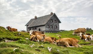 Krekova koča na Ratitovcu (1642 m)