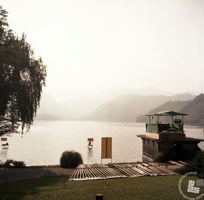 Bled, svetovno prvenstvo v veslanju iz leta 1966. | Foto: Janez Lampič, hrani: MNZS