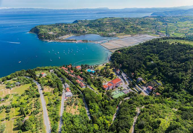 Bioenergijski Salinera resort Strunjan je obkrožen z neokrnjeno naravo in leži v neposredni bližini Krajinskega parka Strunjan. | Foto: 