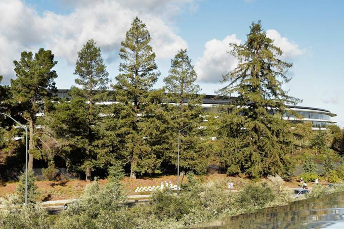 Apple Park | Foto: Reuters