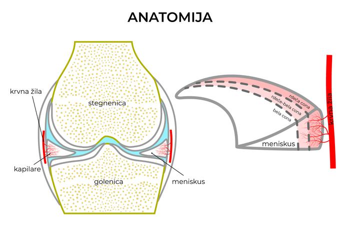 Arbormea | Foto: Arbormea