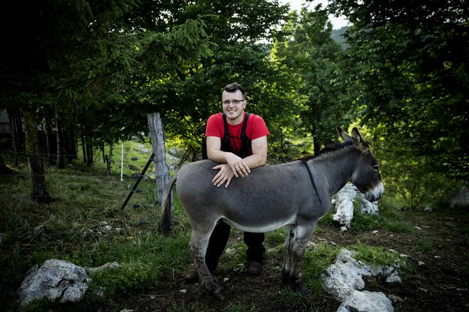 Osel Miško je z družino že dvajset let. | Foto: Ana Kovač