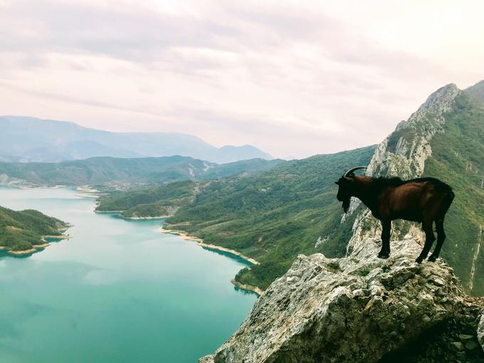 Albanija | Foto: Unsplash