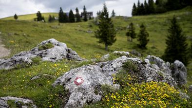 Gibalno ovirani razbijajo tabuje: tudi letos bodo obiskovali slovenske gore