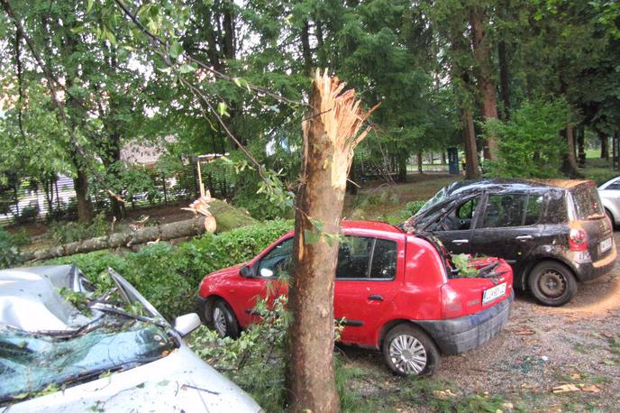 Posledice neurja na Dolenjskem | Foto dolenjskanews.com