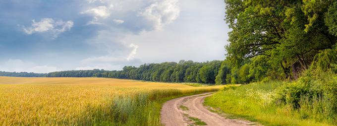 Med nameni akademije je zmanjšanje digitalnega prepada tako med spoloma kakor tudi med mesti in podeželjem. | Foto: Shutterstock